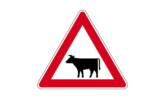 behälter katzenstreu LitterLocker by Litter Genie® Katzenstreu-Entsorgungseimer – litter genie